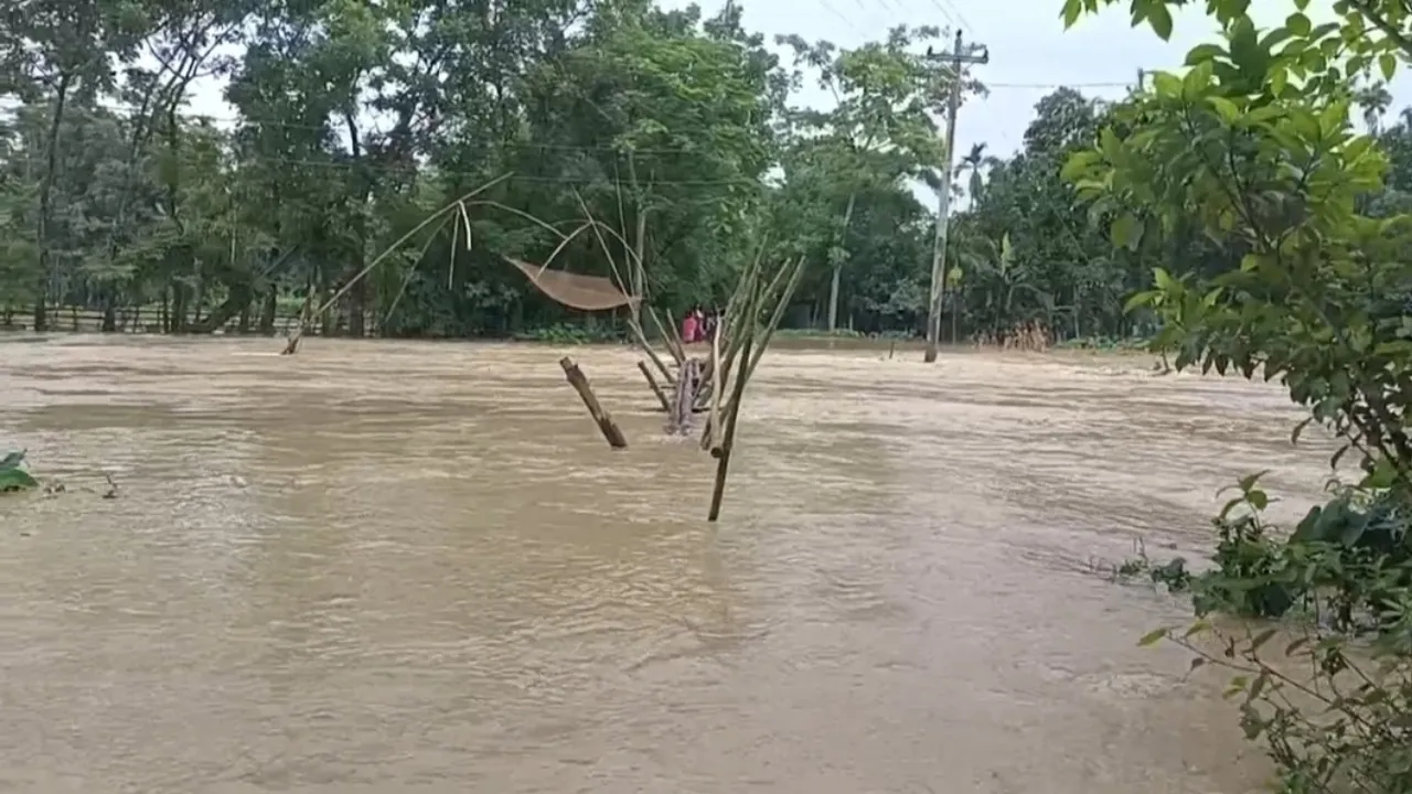 হালুয়াঘাটে পাহাড়ি ঢলে নিম্নাঞ্চল প্লাবিত, পানিবন্দি হাজারো মানুষ