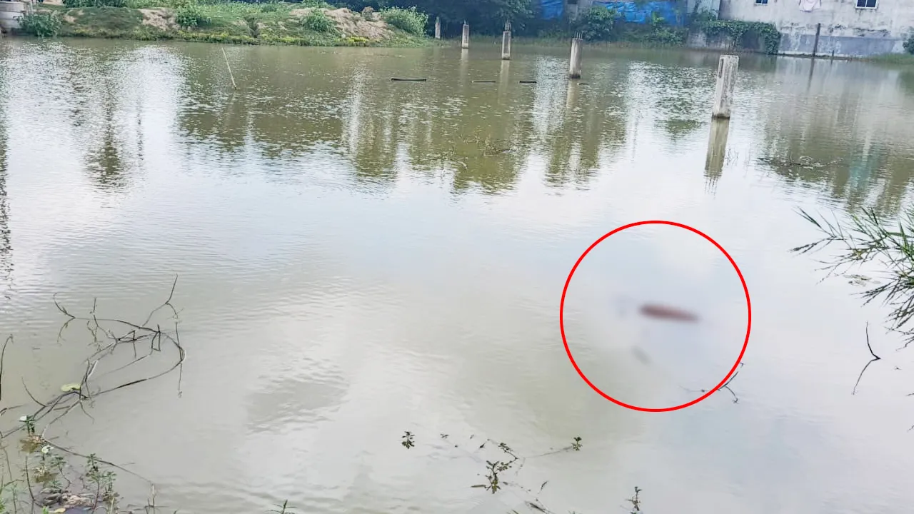 ভালুকায় পুকুর থেকে যুবকের লাশ উদ্ধার