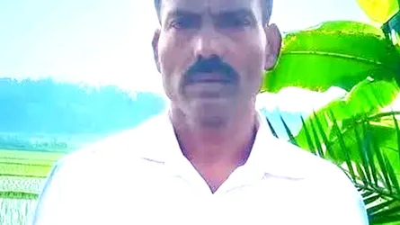 গফরগাঁওয়ে গাছ কাটতে গিয়ে বিদ্যুৎস্পৃষ্টে শ্রমিকের মৃত্যু