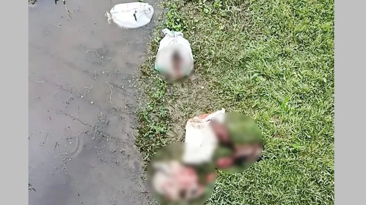 নান্দাইলে ৩ বস্তা ঘোড়ার চামড়া-মাথা-পা উদ্ধার, গোশতের বাজারে আতঙ্ক