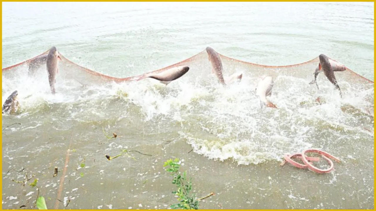 মাছচাষে বিশ্বসেরা পাঁচে বাংলাদেশ, অভ্যন্তরীণ মাছ আহরণে দ্বিতীয়