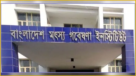 দেশের বিপন্ন প্রজাতির মাছ সংরক্ষণে ‘লাইভ জিন ব্যাংক’ স্থাপন