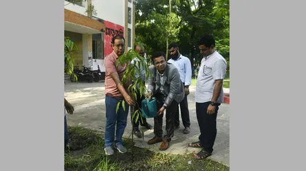 নোবিপ্রবিতে বৃক্ষরোপণ কর্মসূচি অনুষ্ঠিত