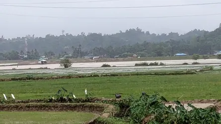 নাফ নদীতে মাছ ধরতে গিয়ে মাইনে আহত বাংলাদেশী জেলে