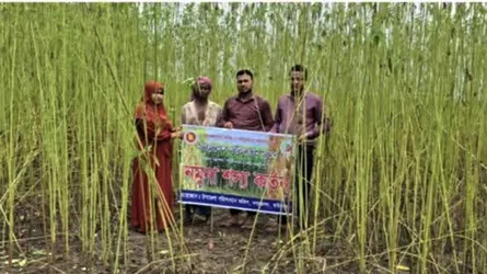 নগরকান্দায় কমে গেছে পাটের উৎপাদন
