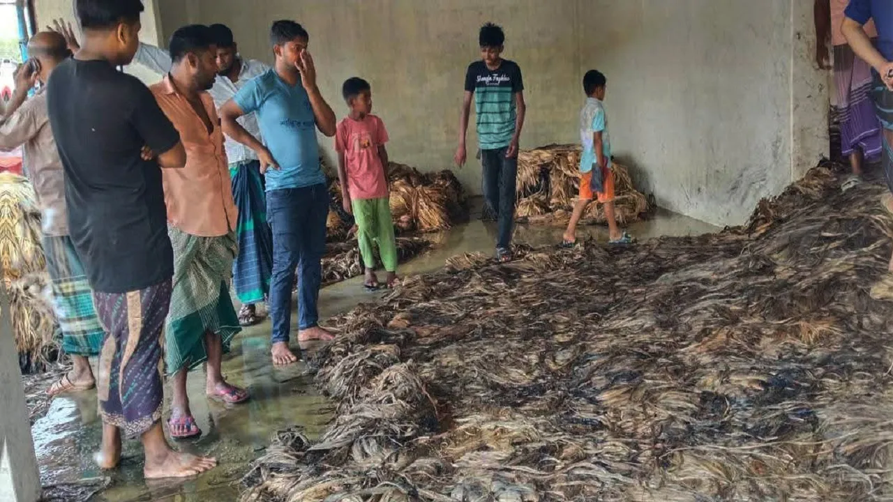 সালথায় পাটের গোডাউনে অগ্নিকাণ্ডে ২৫ লাখ টাকার ক্ষতি