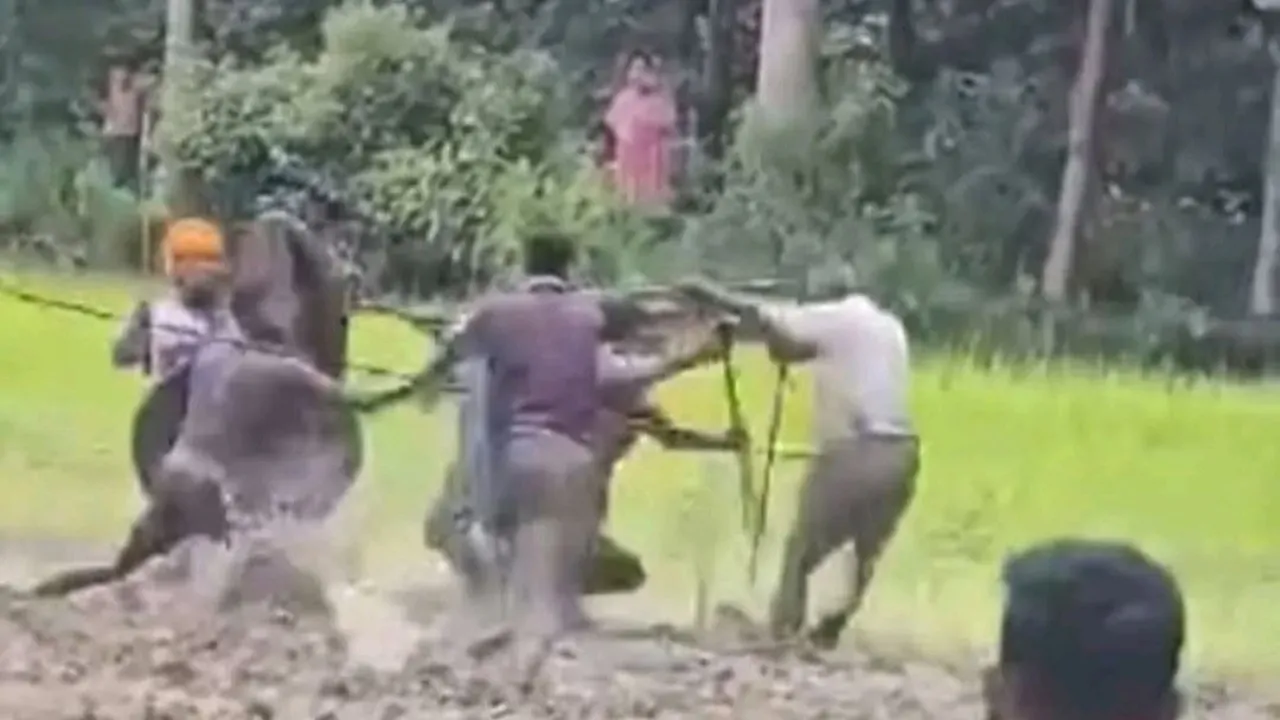 সালথায় জমি সংক্রান্ত বিরোধের জেরে সংঘর্ষ, আহত ১০