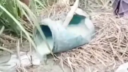 নলডাঙ্গায় গ্রামবাসীর উদ্যোগে চোলাই মদ তৈরির কারখানা ধ্বংস
