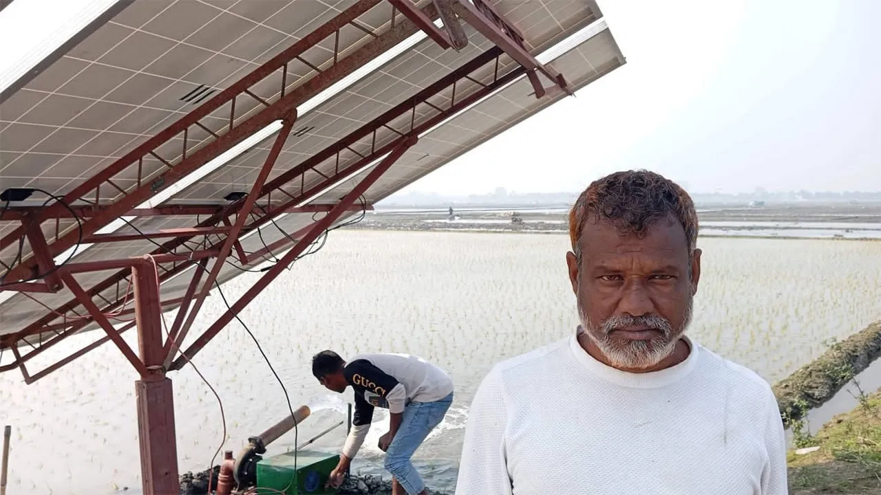 নলডাঙ্গায় কৃষকের নিজ প্রচেষ্টায় তৈরি সোলার পাম্পে ইরি চাষ