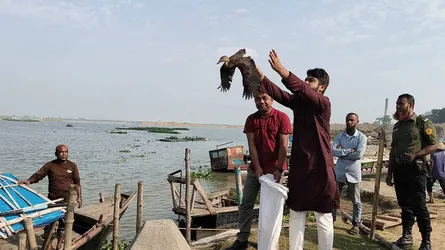 পোরশায় ছয়টি অতিথি পাখি অবমুক্ত