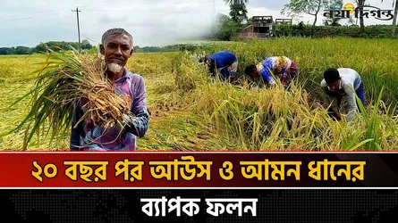 একটি ভালো উদ্যোগ বদলে দিয়েছে ১২৫ একর জমির কৃষি ব্যবস্থা