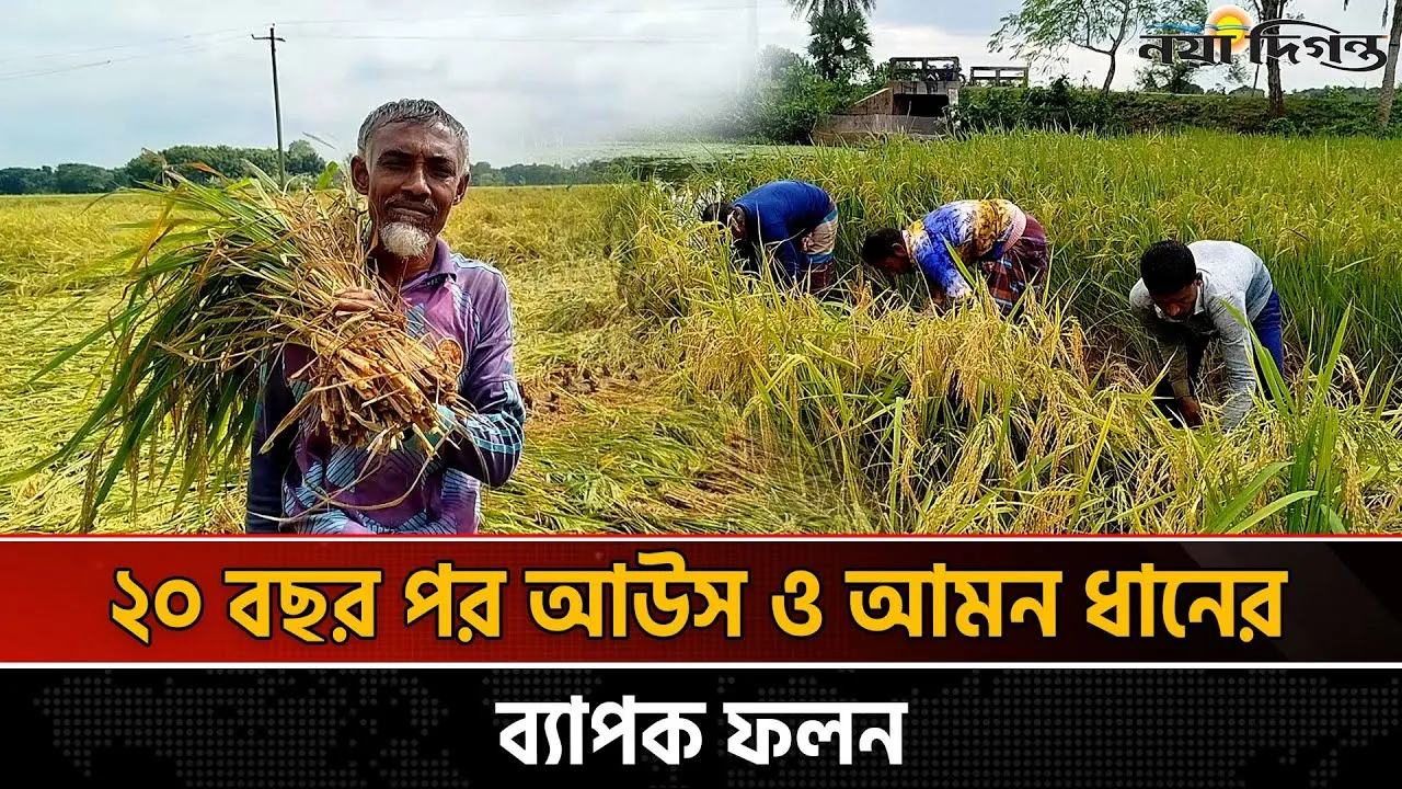 একটি ভালো উদ্যোগ বদলে দিয়েছে ১২৫ একর জমির কৃষি ব্যবস্থা