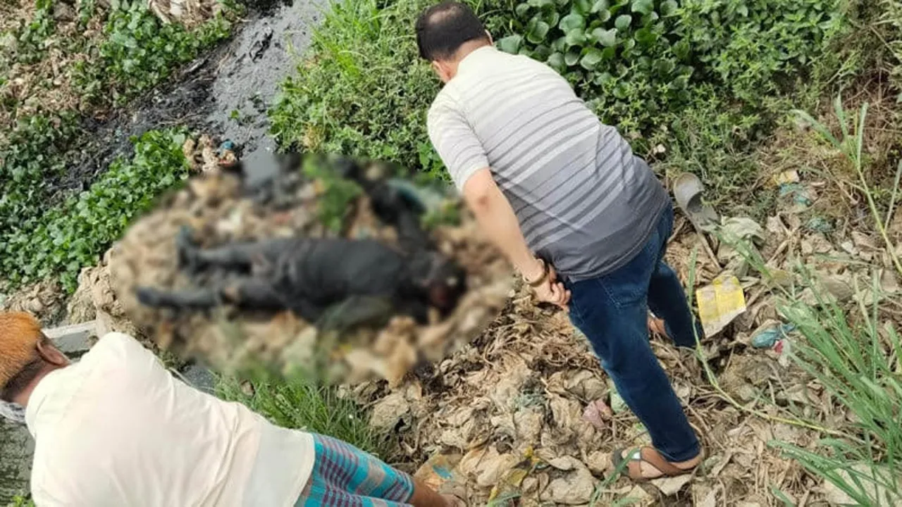 সিদ্ধিরগঞ্জ খালে অজ্ঞাত পরিচয় ব্যক্তির অর্ধগলিত লাশ উদ্ধার