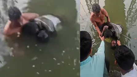 সিদ্ধিরগঞ্জে গোসলে নেমে নিখোঁজ ২ ছাত্রের লাশ উদ্ধার