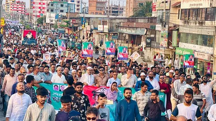 আগামী নির্বাচনে জনগণের আশা-আকাঙ্ক্ষা পূরণ করবে বিএনপি : অধ্যাপক মামুন মাহমুদ