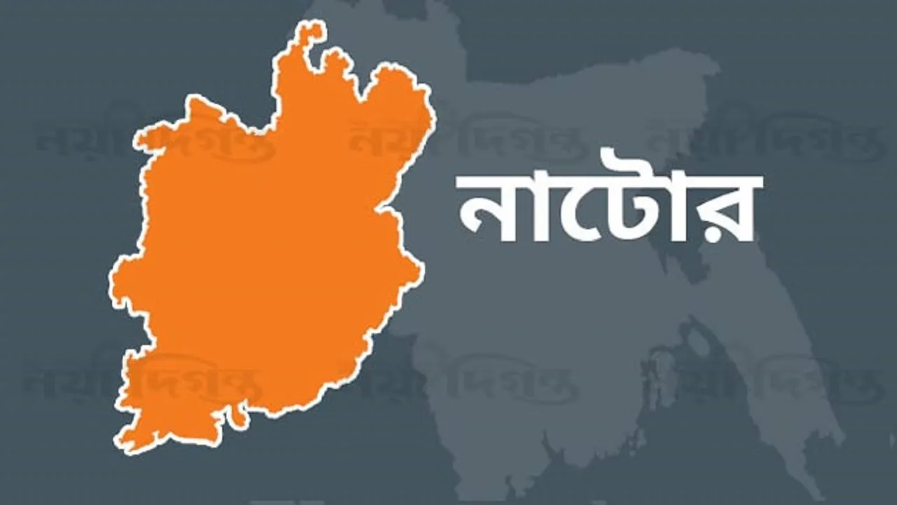 সিংড়ায় বাসের চাপায় নিহত ২