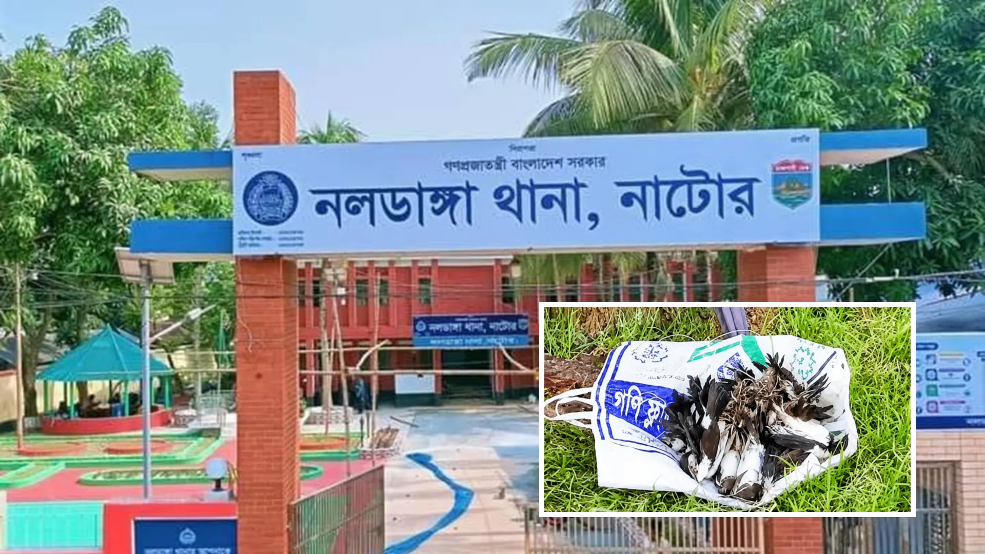 নলডাঙ্গায় ৪ শতাধিক পাখি জবাই : নয়া দিগন্তে সংবাদের পর থানায় বনবিভাগের অভিযোগ