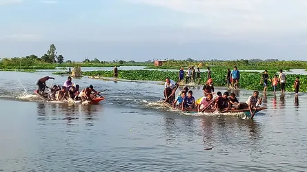 নাটোরের চলনবিলে ঐতিহ্যবাহী নৌকা বাইচ