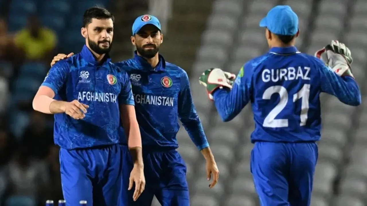 ভারত সিরিজে আফগানিস্তান দলে ফিরলেন নাভিন