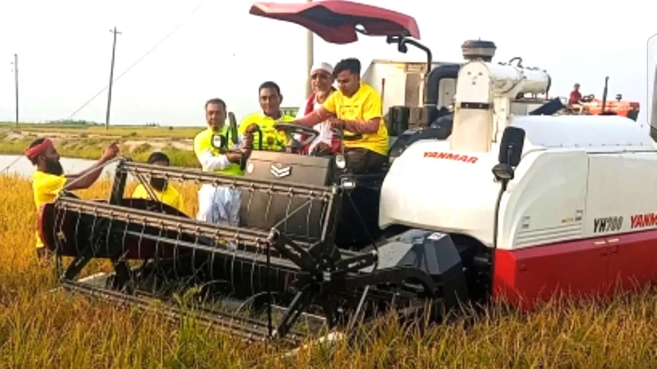 খালিয়াজুড়ি হাওরে ধান কাটা উদ্বোধন করলেন বাবর