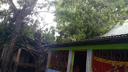 মোহনগঞ্জে কাল বৈশাখী ঝড়, বিপর্যস্ত অবস্থা