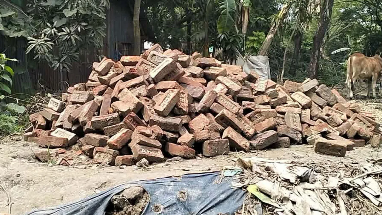 মোহনগঞ্জে সরকারি রাস্তার ইট তুলে বিক্রির অভিযোগ
