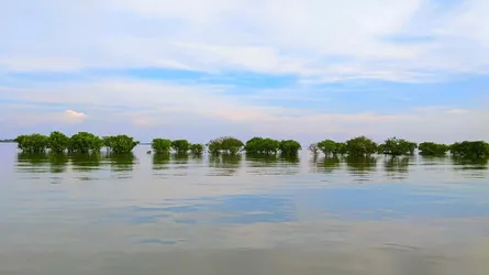 ডিঙ্গাপোতা হাওরে পর্যটনের হাতছানি, টেকসই উদ্যোগের অপেক্ষা