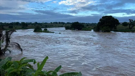 নাইজারে বন্যায় নিহত ৪৭, বাস্তুচ্যুত ৫৬ হাজারের বেশি