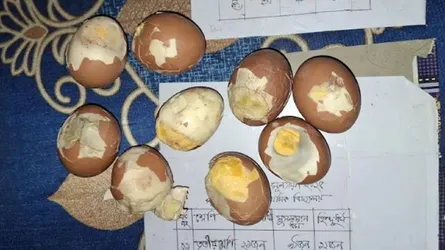 কিশোরগঞ্জে স্কুল ফিডিংয়ে শিক্ষার্থীদের পচা ডিম দেয়ার অভিযোগ