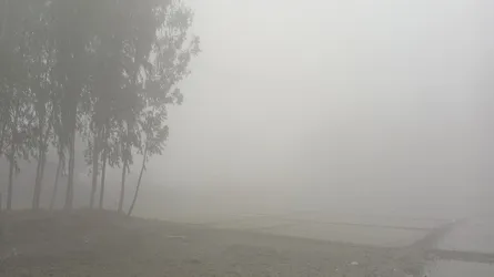 কমছে তাপমাত্রা, নীলফামারীতে কনকনে ঠান্ডায় বেড়েছে দুর্ভোগ