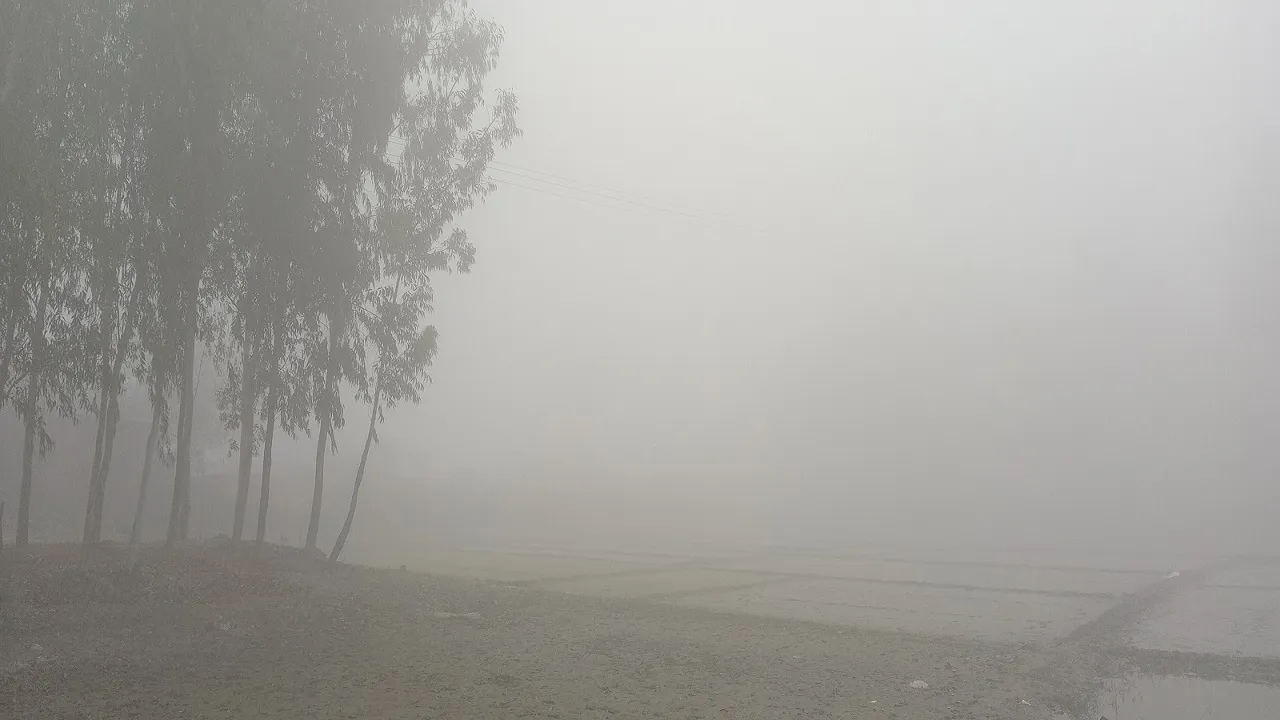 কমছে তাপমাত্রা, নীলফামারীতে কনকনে ঠান্ডায় বেড়েছে দুর্ভোগ
