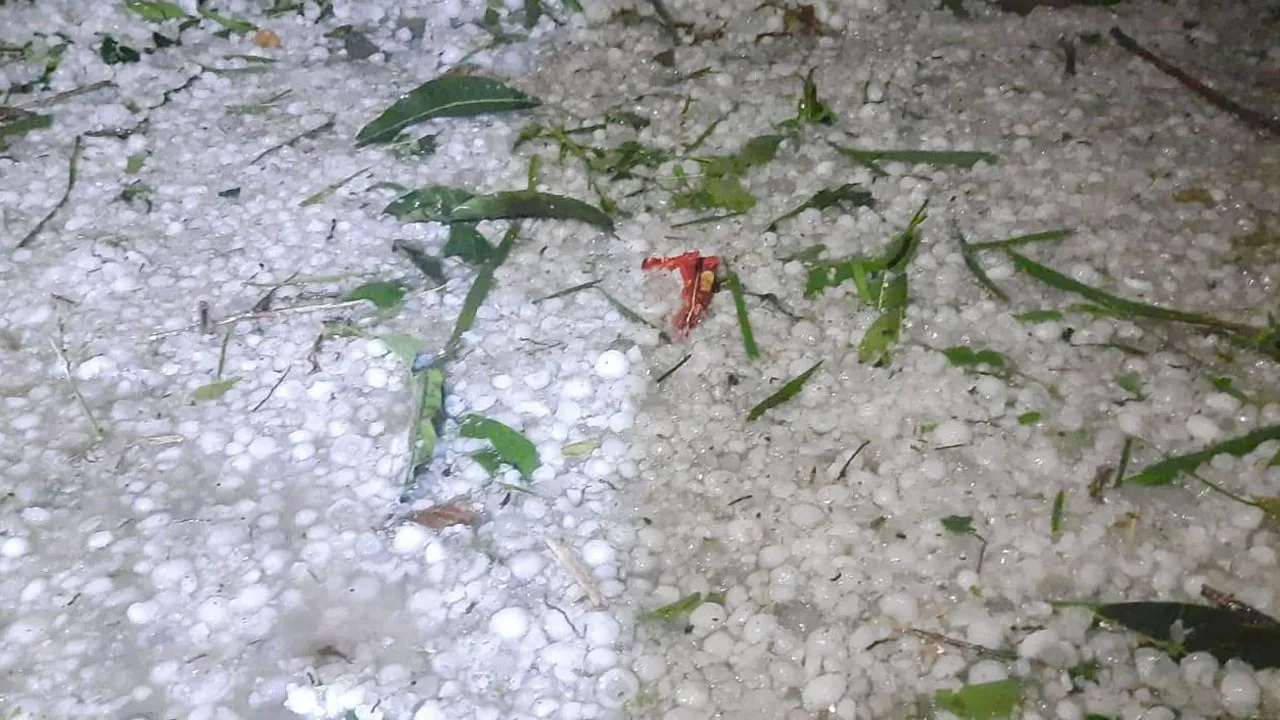 নীলফামারীতে শিলাবৃষ্টিতে ফসলের ব্যাপক ক্ষতি
