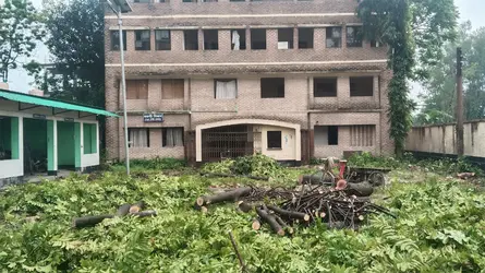 সৈয়দপুরে সিলগালাকৃত ফাইলেরিয়া হাসপাতালের গাছ কেটে সাবাড়