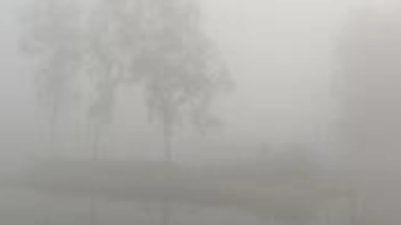 নীলফামারীতে বৃষ্টির মতো পড়ছে কুয়াশা
