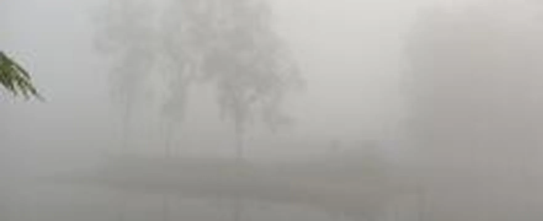 নীলফামারীতে বৃষ্টির মতো পড়ছে কুয়াশা