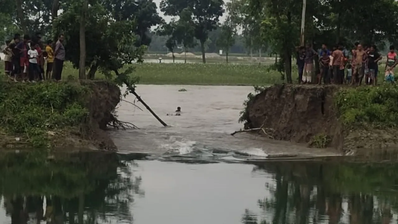 তিস্তা সেচ খালের বাঁধ ভেঙ্গে নীলফামারীর রোপা আমনের ক্ষেতসহ বিস্তীর্ণ এলাকা প্লাবিত