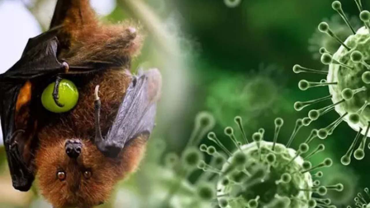 Nipah