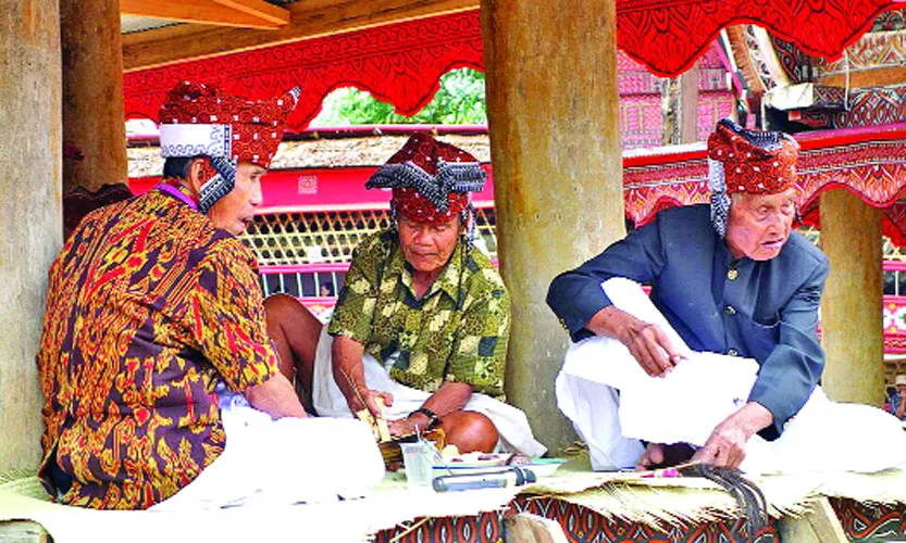 তোরাজা মানুষ