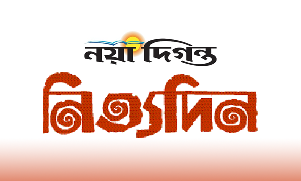 Nityadin logo