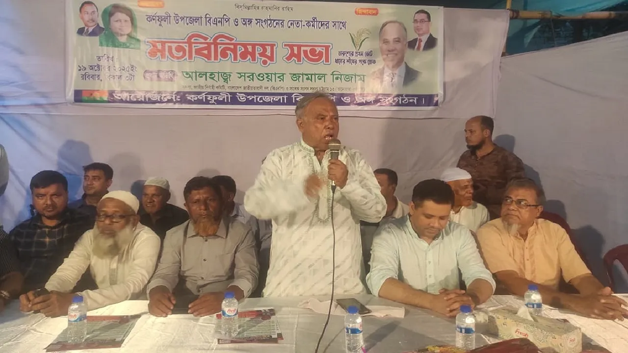 গণতন্ত্রের লড়াইয়ে ঐক্যই আমাদের শক্তি: সরওয়ার জামাল নিজাম