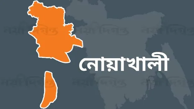 নোয়াখালীতে কিশোরীর শ্লীলতাহানির অভিযোগ
