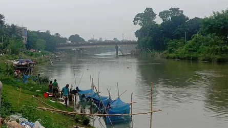 নলডাঙ্গার বারনই নদীতে ভেসে উঠছে বহু মাছ, বিষ নাকি গ্যাস নিয়ে রহস্য!