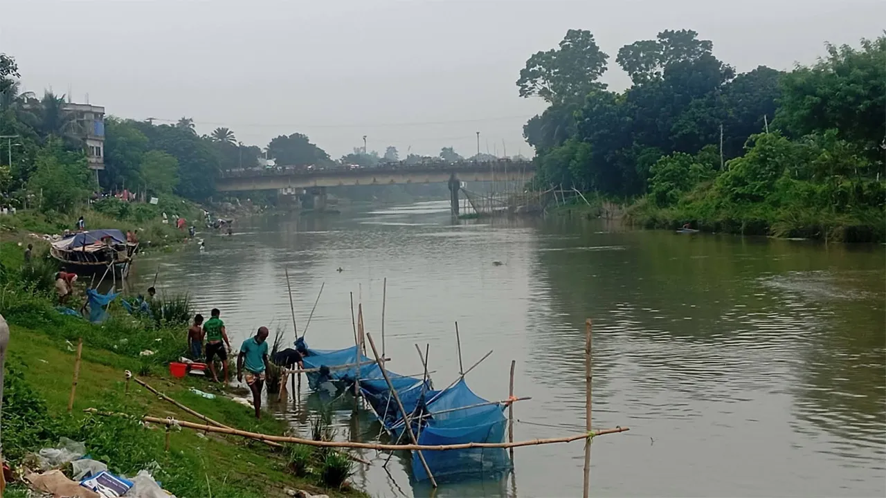 নলডাঙ্গার বারনই নদীতে ভেসে উঠছে বহু মাছ, বিষ নাকি গ্যাস নিয়ে রহস্য!