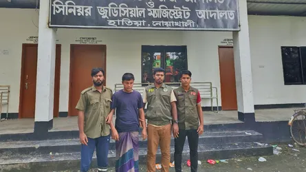 হাতিয়ায় সংরক্ষিত বনের গাছ কাটায় গ্রেফতার ১