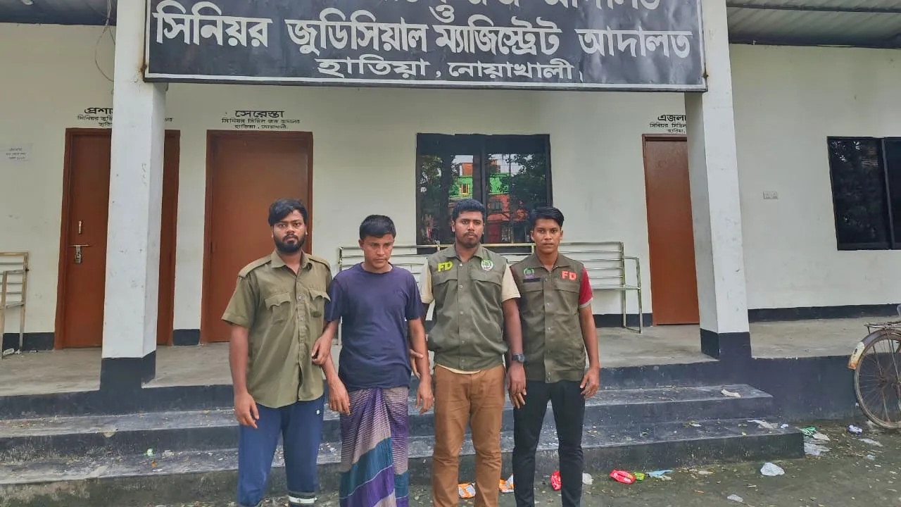 হাতিয়ায় সংরক্ষিত বনের গাছ কাটায় গ্রেফতার ১