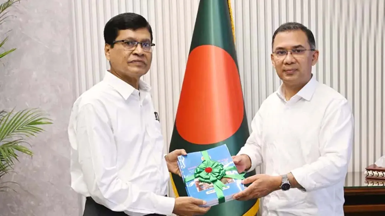 রূপপুরের সেই দামি বালিশ জাদুঘরে রাখা উচিত : প্রধানমন্ত্রী