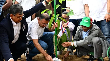 ২৫ কোটি বৃক্ষরোপণ কর্মসূচির উদ্বোধন প্রধানমন্ত্রীর