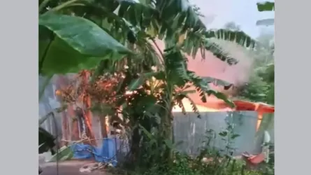পাবনায় ধষর্ণ-হত্যার জেরে অগ্নিসংযোগ : দগ্ধ হয়ে ৩ জনের মৃত্যু
