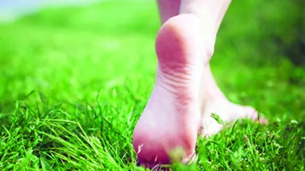 ইট-সিমেন্টের শহরে মাটির খোঁজে