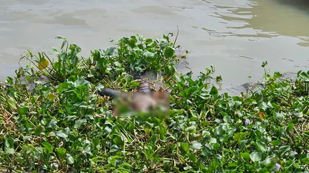 গাজীপুরে ৫ খুন : অভিযুক্ত ফোরকান মোল্লার লাশ পদ্মা নদী থেকে উদ্ধার